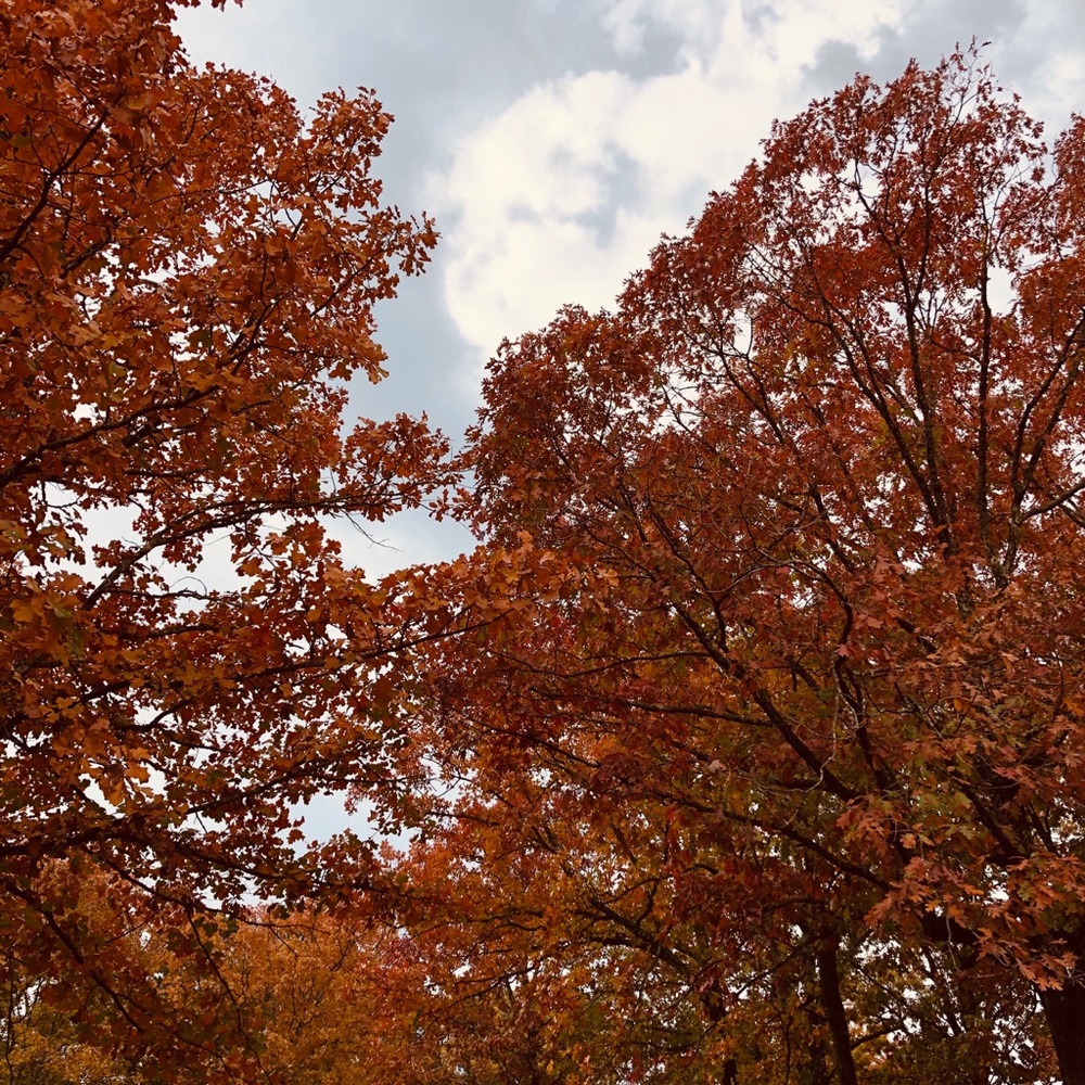 Meet your Posher, Inez